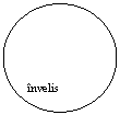 Oval: invelis





   
 
