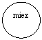 Oval: miez