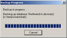 Figure 13: Backup Progress dialog box