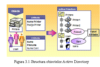 Text Box: 
Figura 3.1 Structura obiectelor Active Directory
