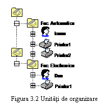 Text Box:  
Figura 3.2 Unitati de organizare
