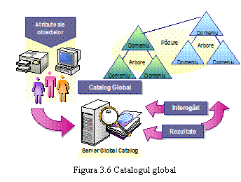 Text Box: 
Figura 3.6 Catalogul global
