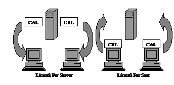 Text Box: 
Figura 2.8 Tipuri de licenta utilizator
