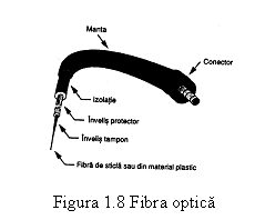 Text Box:  
Figura 1.8 Fibra optica
