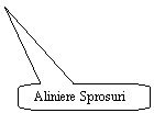 Rounded Rectangular Callout: Aliniere Sprosuri

