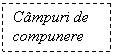 Text Box: Campuri de compunere