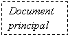 Text Box: Document principal