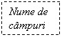 Text Box: Nume de campuri