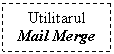 Text Box: Utilitarul Mail Merge