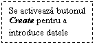 Text Box: Se activeaza butonul Create pentru a introduce datele