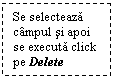 Text Box: Se selecteaza campul si apoi se executa click pe Delete