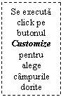 Text Box: Se executa click pe butonul Customize pentru alege campurile dorite