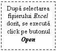 Text Box: Dupa selectarea fisierului Excel dorit, se executa click pe butonul Open