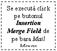 Text Box: Se executa click pe butonul Insertion Merge Field de pe bara Mail Merge