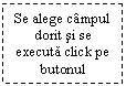 Text Box: Se alege campul dorit si se executa click pe butonul Insertion