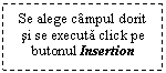 Text Box: Se alege campul dorit si se executa click pe butonul Insertion

