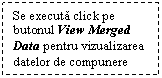 Text Box: Se executa click pe butonul View Merged Data pentru vizualizarea datelor de compunere