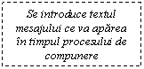 Text Box: Se introduce textul mesajului ce va aparea in timpul procesului de compunere