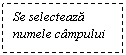 Text Box: Se selecteaza numele campului