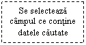 Text Box: Se selecteaza campul ce contine datele cautate