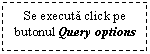 Text Box: Se executa click pe butonul Query options