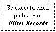 Text Box: Se executa click pe butonul Filter Records
