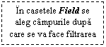 Text Box: In casetele Field se aleg campurile dupa care se va face filtrarea