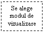 Text Box: Se alege modul de vizualizare