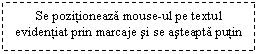 Text Box: Se pozitioneaza mouse-ul pe textul evidentiat prin marcaje si se asteapta putin