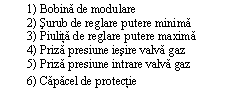 Text Box: 1) Bobina de modulare
2) Surub de reglare putere minima
3) Piulita de reglare putere maxima
4) Priza presiune iesire valva gaz
5) Priza presiune intrare valva gaz
6) Capacel de protectie
