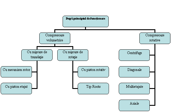 Organization Chart