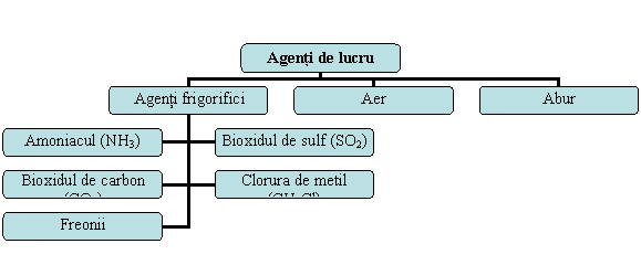 Organization Chart