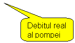 Rounded Rectangular Callout: Debitul real al pompei