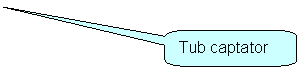 Rounded Rectangular Callout: Tub captator