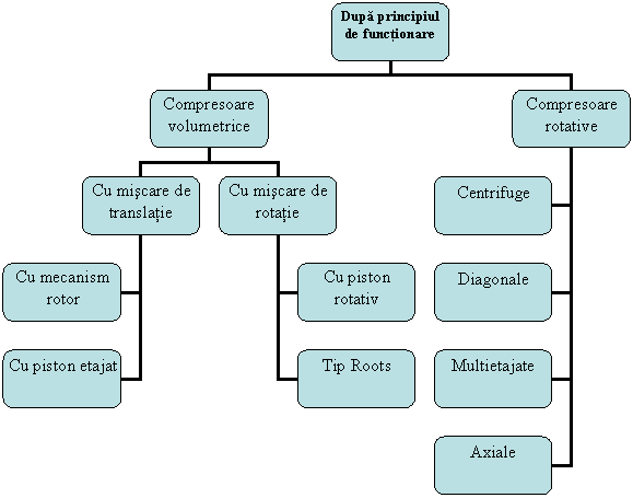 Organization Chart