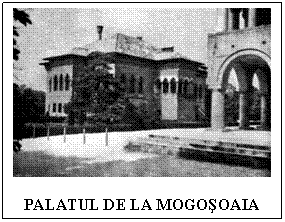 Text Box:  

PALATUL DE LA MOGOSOAIA
