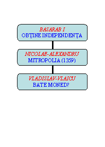 Organization Chart