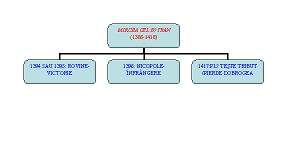 Organization Chart