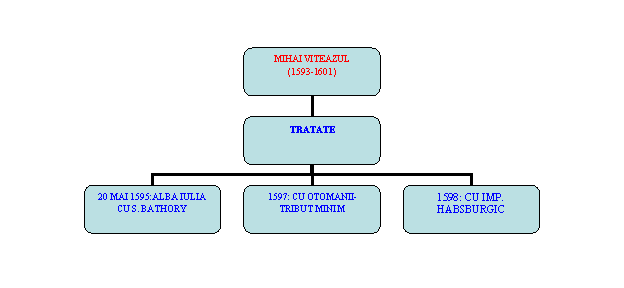 Organization Chart