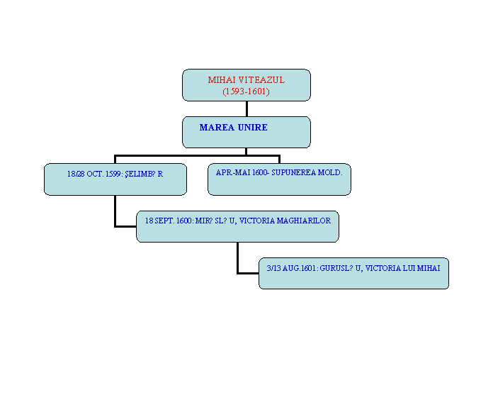 Organization Chart