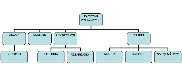 Organization Chart