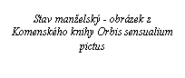 Text