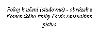 Text