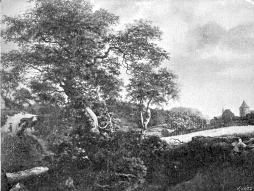 FIG. 83.�J. VAN RUISDAEL. LANDSCAPE.