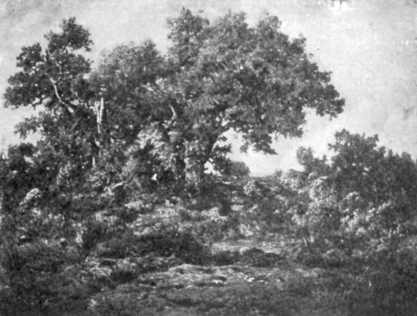 FIG. 65.�ROUSSEAU, CHARCOAL BURNERS' HUT. FULLER
COLLECTION.