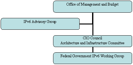 Organization Chart