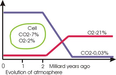 Evolution.gif (13360 bytes)