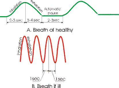 BreathEng.gif (15948 bytes)