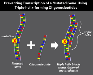 Triple-helix-forming oligonucleotides