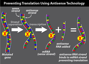 Antisense